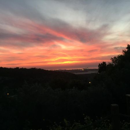 Ein Hod Above The Sea 빌라 외부 사진