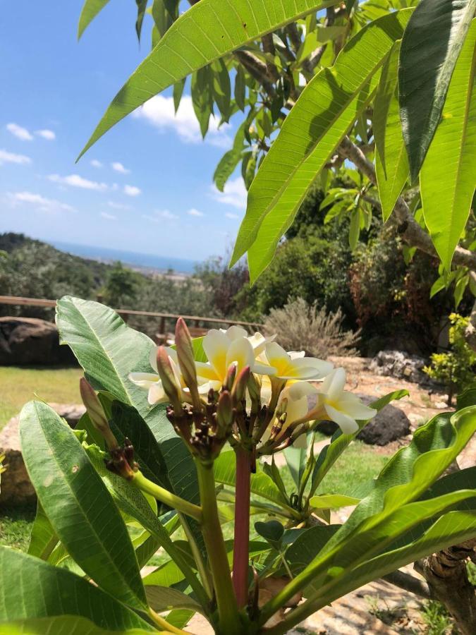 Ein Hod Above The Sea 빌라 외부 사진