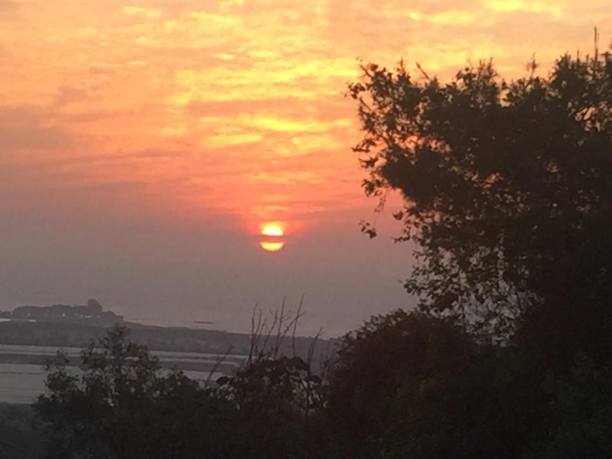 Ein Hod Above The Sea 빌라 외부 사진