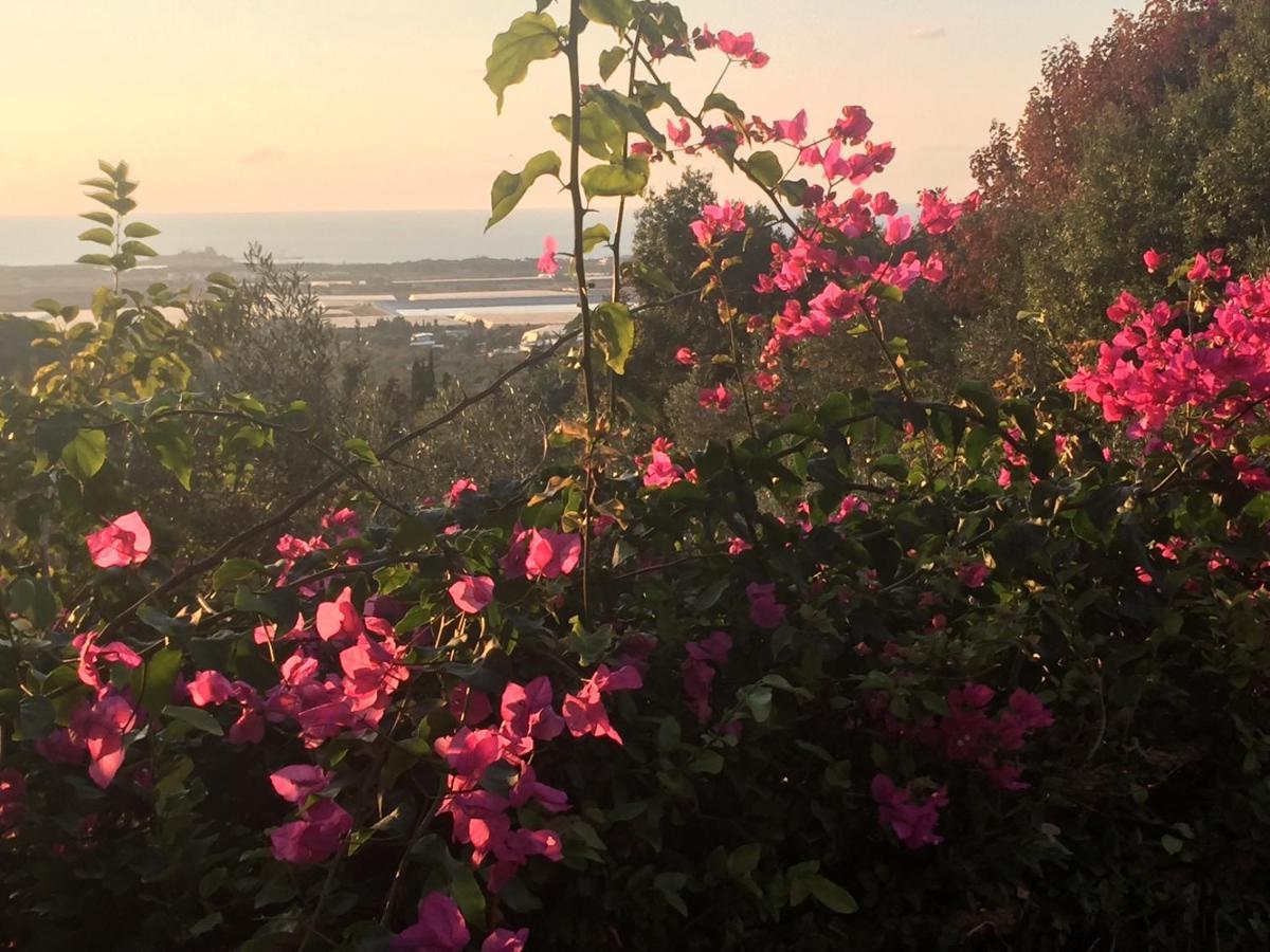 Ein Hod Above The Sea 빌라 외부 사진