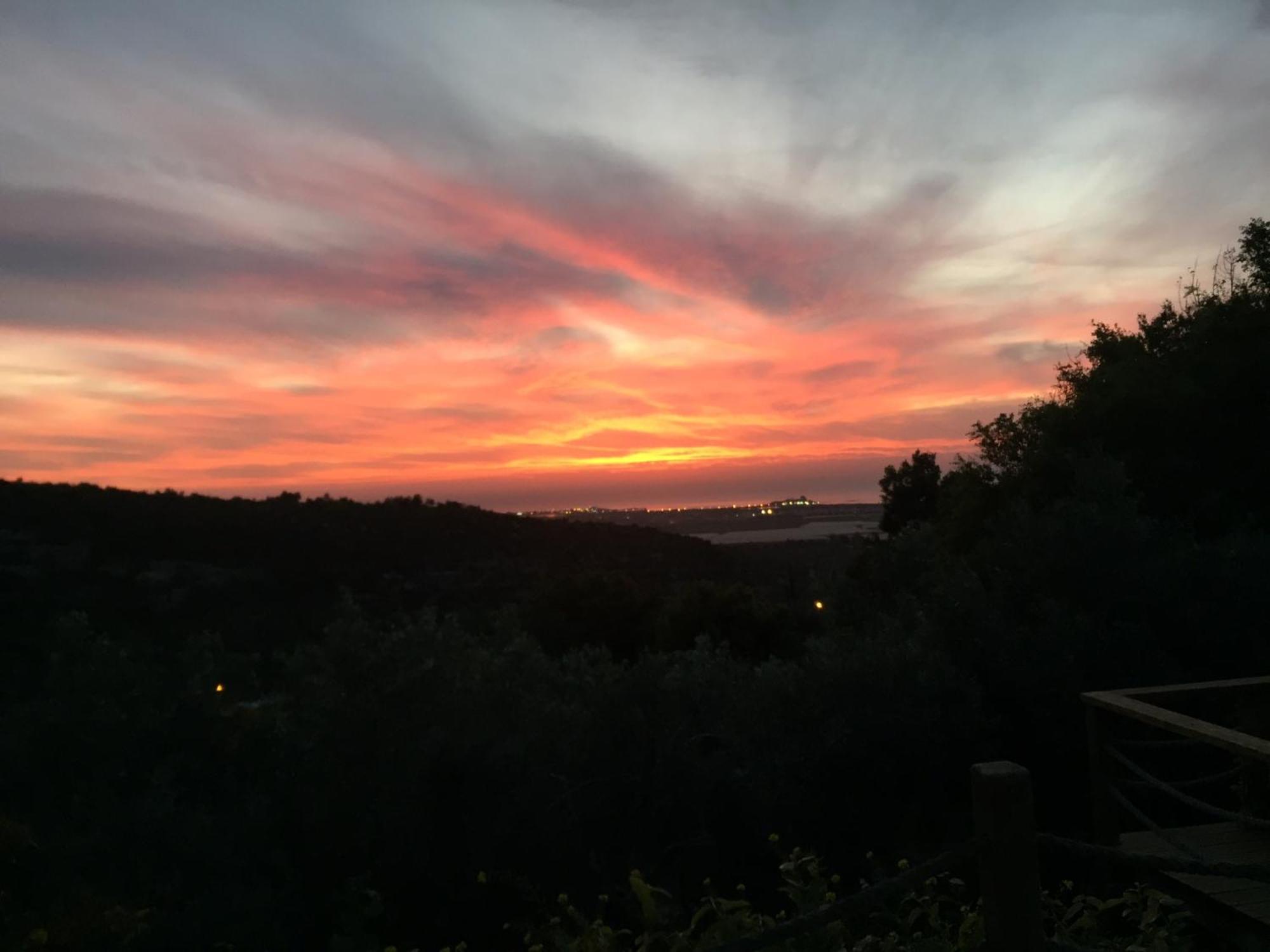 Ein Hod Above The Sea 빌라 외부 사진