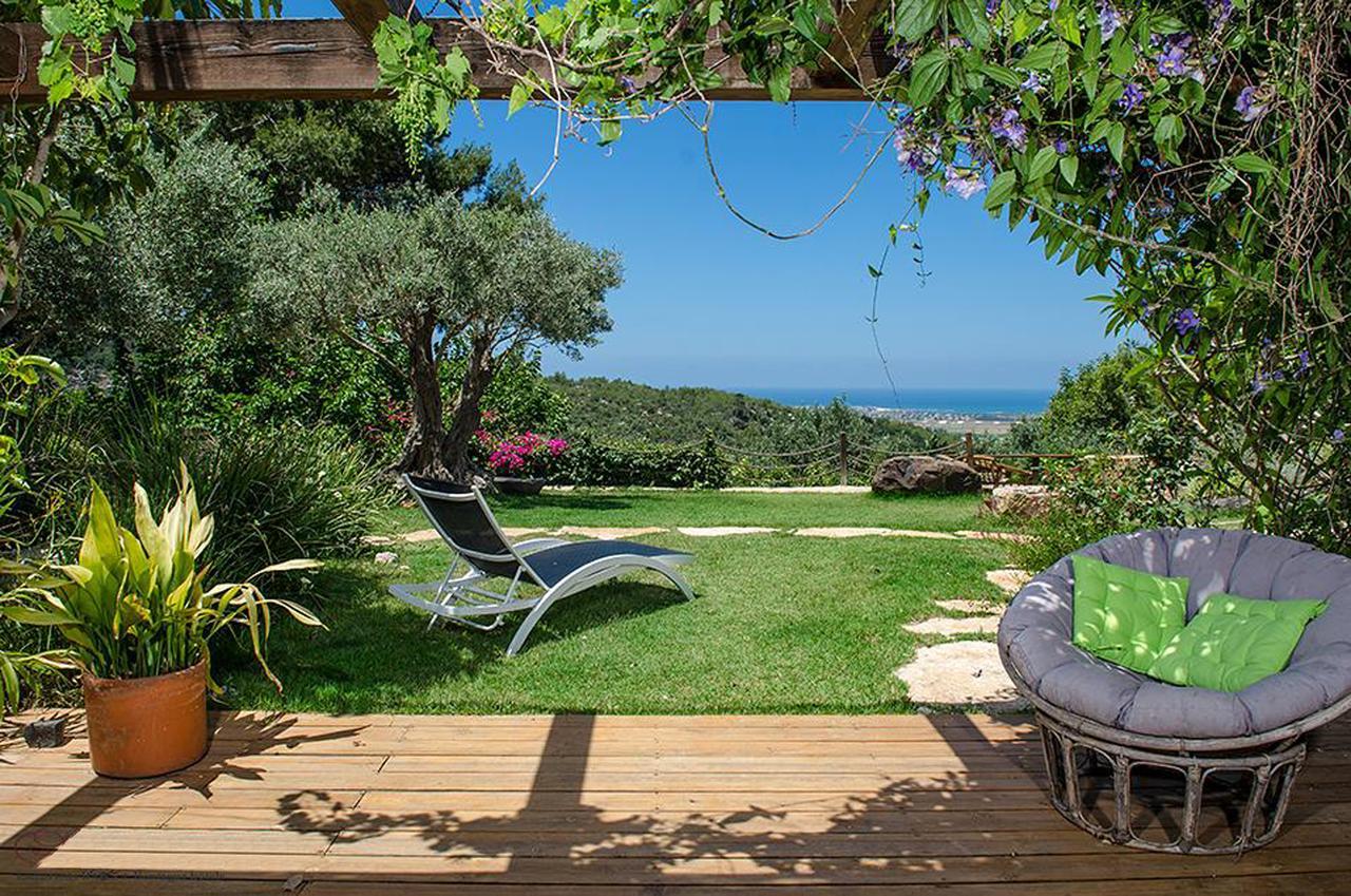 Ein Hod Above The Sea 빌라 외부 사진