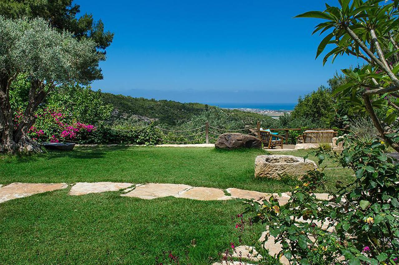 Ein Hod Above The Sea 빌라 외부 사진
