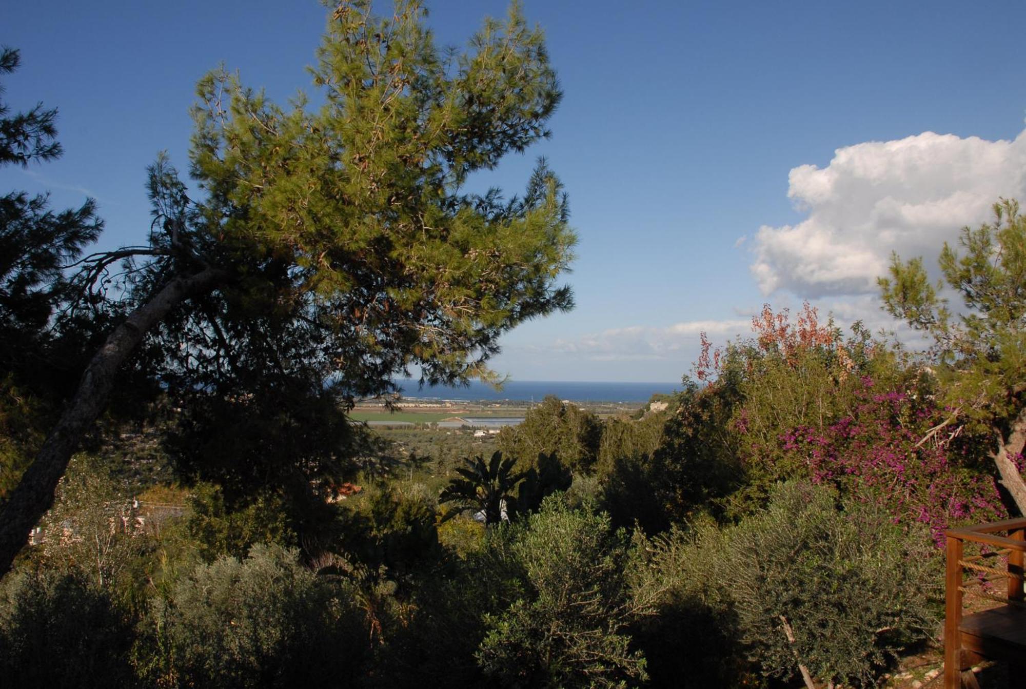 Ein Hod Above The Sea 빌라 외부 사진