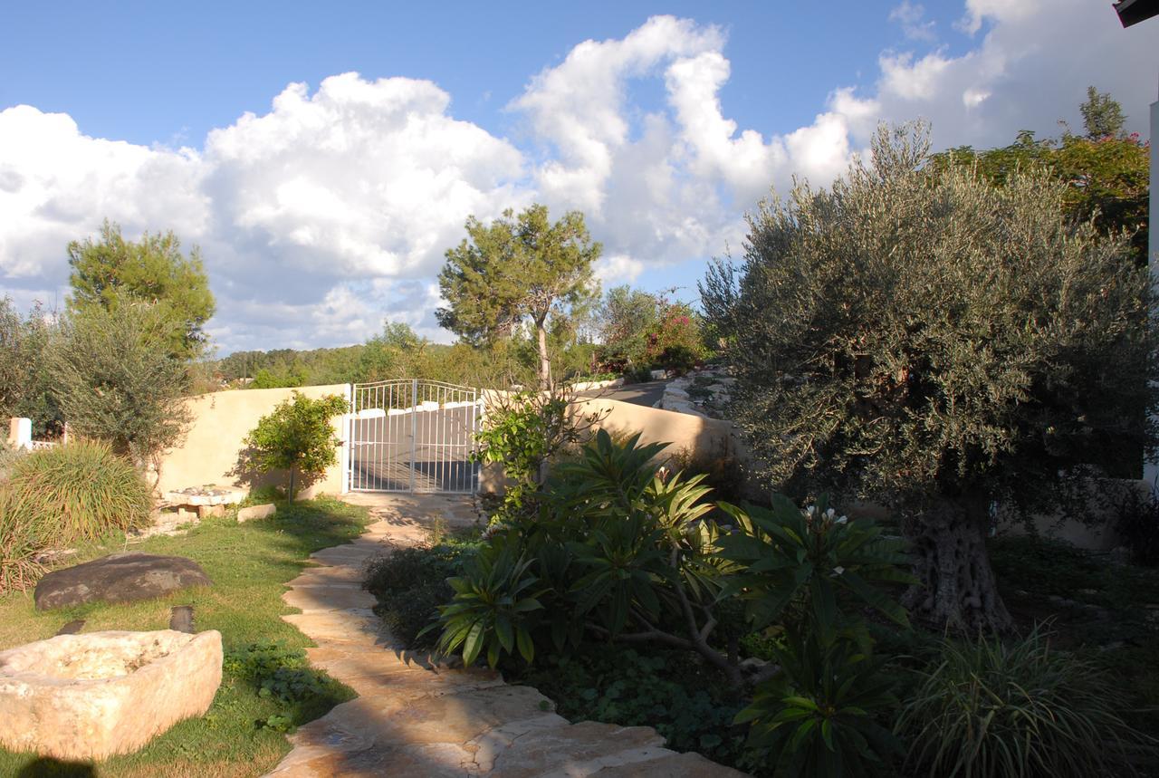 Ein Hod Above The Sea 빌라 외부 사진