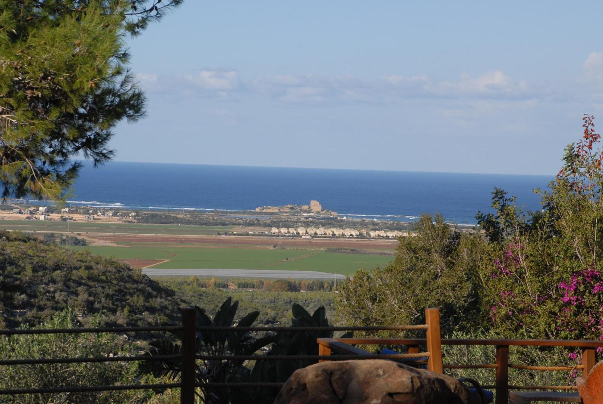 Ein Hod Above The Sea 빌라 외부 사진