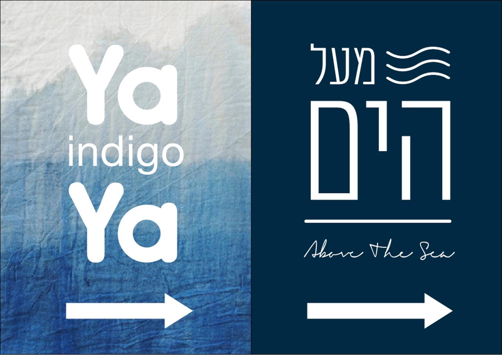 Ein Hod Above The Sea 빌라 외부 사진